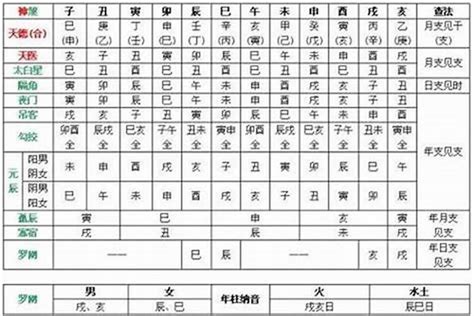 甲木乙木丙火丁火怎麼算|十二天干地支與五行精髓全部在此！